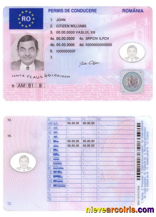 Romania driving license